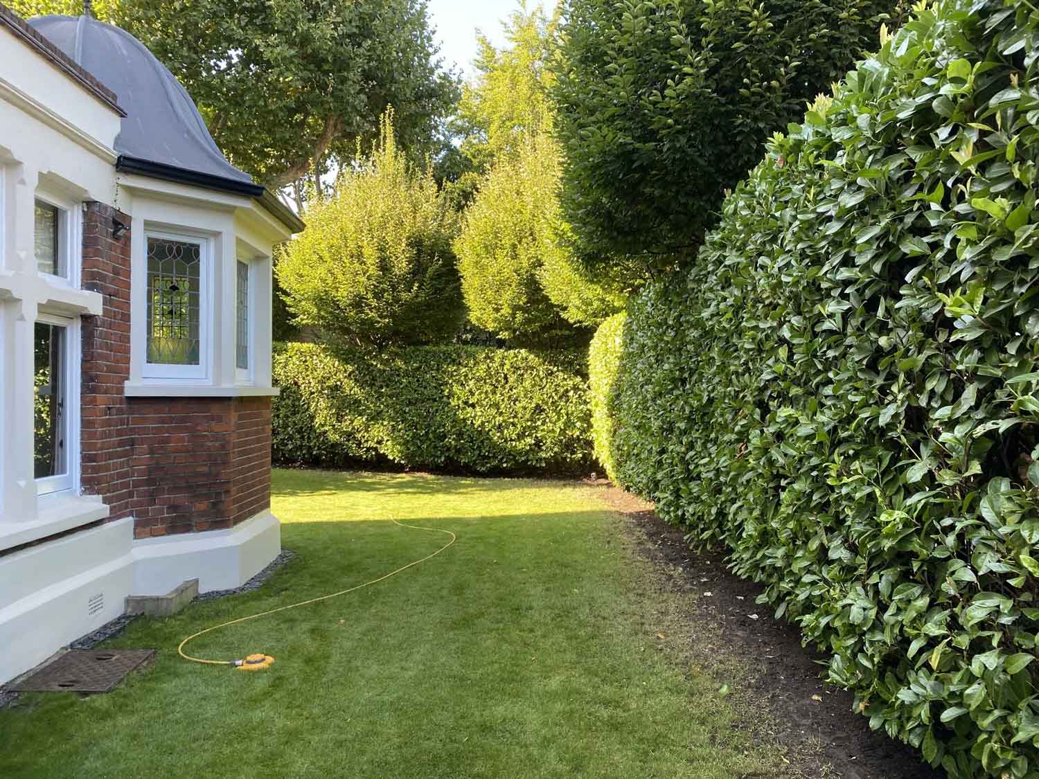 hedges care leeds wakefield